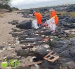 恶臭难闻！大量死鱼漂浮散落儋州海面海滩，原因竟是…… - 海南新闻中心