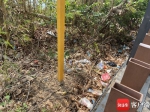 太阳湾路旁垃圾随处可见。记者 张宏波 摄 - 中新网海南频道