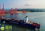 洋浦抢抓自贸港发展机遇，多措并举推进航运产业发展 - 海南新闻中心