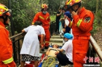 爬山被排蜂蜇致昏迷 三亚消防紧急救助一男子 - 中新网海南频道