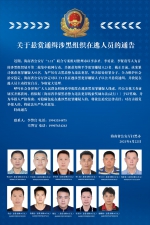 悬赏220万！海南警方通缉11名在逃涉黑犯罪嫌疑人 - 海南新闻中心