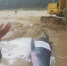 一头小抹香鲸在文昌海滩搁浅 已被送往陵水救治 - 海南新闻中心