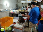 儋州一海鲜经营店售卖中华鲎被查处 - 海南新闻中心