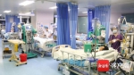 海南3人误食河豚中毒经医院全力抢救病情趋于稳定 - 海南新闻中心