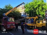 澄迈一货车逆行撞进铺面致人死亡事件追踪：受事故影响的区域已恢复供电 - 海南新闻中心