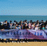 “天下无废 我们在乎”净滩活动在海口白沙门举行 - 海南新闻中心