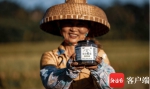 幸福来报“稻”——用照片讲述琼山福稻的故事 - 中新网海南频道