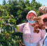 5月19日，海口市民身着防晒服冒着烈日在果园采摘荔枝。　尹海明 摄 - 中新网海南频道