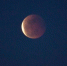 5月26日晚，在海南省海口市拍摄的 “超级月亮+月全食”天文奇观。当天，月球抵达近地点且恰逢满月，并有月全食出现。 中新社记者 骆云飞 摄 - 中新网海南频道