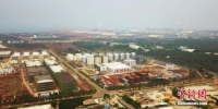 海南自贸港一周年：项目火热推进 园区产业聚集 - 中新网海南频道