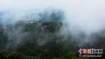 三亚：雨后雨林云雾缭绕 宛如仙境 - 中新网海南频道