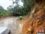 三亚：台风刮倒树木砸伤执勤交警 - 中新网海南频道