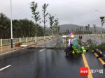 三亚一交警在风雨中执勤，被突然倒下的树木砸中 - 海南新闻中心
