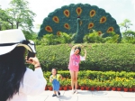 亲子游家庭在南山景区游玩。特约记者 陈文武 摄 - 中新网海南频道