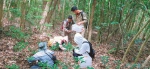 “90后”蘑菇团队在雨后“巡山”搜集菌类。 (受访者供图) - 中新网海南频道
