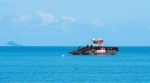 三亚市崖州区引入的全自动保洁船。记者 武威 摄 - 中新网海南频道