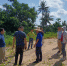 海口美兰区邀请专家开展农村裸露地块种草绿化技术指导工作 - 海南新闻中心
