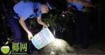 心疼！三亚亚龙湾青梅港惊现一只200多斤巨龟，患有脱肛、腐甲 - 海南新闻中心