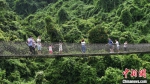 图为在亚龙湾热带天堂森林公园，游客从“过江龙”索桥上走过。　黄庆优 摄 - 中新网海南频道