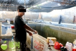 涉案10万！陵水一养殖场里的104条石斑鱼种鱼被人偷了，偷鱼的竟是…… - 海南新闻中心