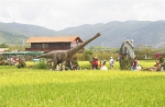 游客在三亚国家水稻公园游玩。武威 摄 - 中新网海南频道