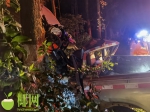 凌晨，万宁一皮卡车失控撞上大树，致1死1重伤 - 海南新闻中心
