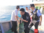 海南查处209起涉船涉海案 215人因非法捕捞等被罚 - 海南新闻中心