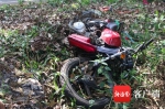 海口货车撞摩托车致1人死亡 交警：事故双方均无证驾驶 - 海南新闻中心