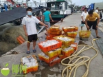 今年南海伏季休渔期，海南海警局侦办非法捕捞水产品案18起 - 海南新闻中心