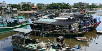 开渔啦！海口美兰区千艘渔船恢复生产作业 - 海南新闻中心