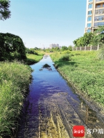 海口天鹅湾小区生活污水溢满排到南渡江边 居民投诉“太臭了” - 海南新闻中心