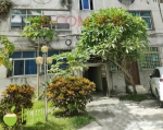 儋州警方将依法对一批涉黑涉恶财产进行公开拍卖 - 海南新闻中心