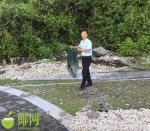三亚小东海废弃木栈道已拆除 海域周边将设12块安全警示牌 - 海南新闻中心