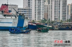 台风“康森”将掠过 海南两万余艘渔船回港避风 - 中新网海南频道