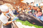 10月3日，在三亚·亚特兰蒂斯自助餐厅举行的200斤金枪鱼开鱼仪式吸引顾客围观。 本报记者 武威 摄 - 中新网海南频道
