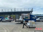 台风后79辆鲜菜保供车抵琼 海口恢复岛外鲜菜供应 - 海南新闻中心