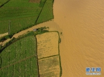 #（环境）（1）洪水来袭 - 海南新闻中心
