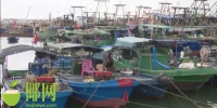 临高4799艘渔船全部回港，约21600人上岸避风 - 海南新闻中心
