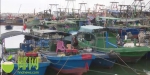 临高4799艘渔船全部回港，约21600人上岸避风 - 海南新闻中心