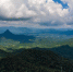 2021年9月3日，航拍海南毛瑞热带雨林。骆云飞摄 - 中新网海南频道