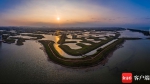 海口江东生态新名片 迈雅河区域生态修复项目一期完工 - 中新网海南频道