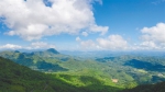 俯瞰海南热带雨林国家公园鹦哥岭片区。方山 摄 - 中新网海南频道