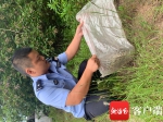 2米长蟒蛇被困渔网 昌江警民联手为其“解封” - 海南新闻中心