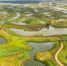 11月2日上午，记者航拍镜头下的海口江东新区迈雅河区域，树岛星罗棋布，河清岸绿美景如画。 陈长宇 摄 - 中新网海南频道