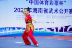功夫盛会：2021年海南省武术公开赛屯昌开赛 - 海南新闻中心