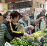 美兰区3家农贸市场五种蔬菜销售3.5元/斤 - 海南新闻中心