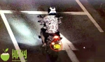 海口交警开展违法摩托车查缉行动 2人被处罚 - 海南新闻中心