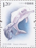 12月3日，中国邮政发行的《中华白海豚》特种邮票。 - 中新网海南频道