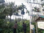 美兰区开展采摘槟榔触电安全防范宣传教育和种植情况调查工作 - 海南新闻中心