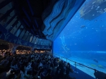 8000万游客的欢乐新主场 海南富力海洋欢乐世界耀世启航 - 海南新闻中心